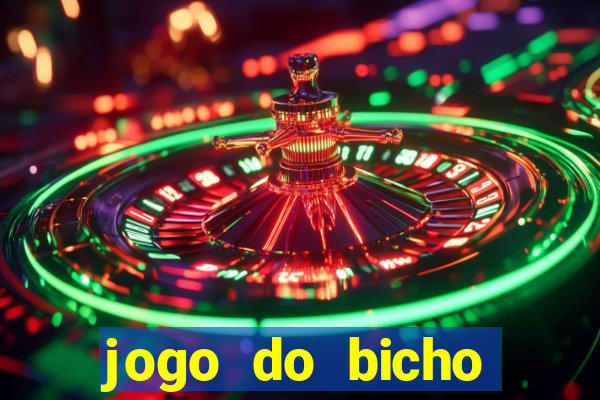 jogo do bicho crash bingo